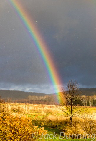 Rainbow over a farm field, Echo Bay, Ontario