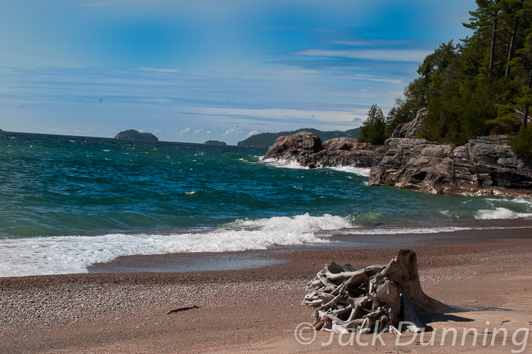 Driftwood on shore of Lake Superior Provincial Park